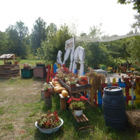 DSCN1786