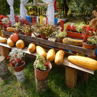 DSCN1787