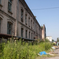 IMGP2247