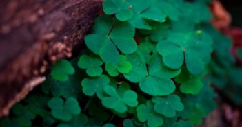 Magia irlandzkiej fantastyki